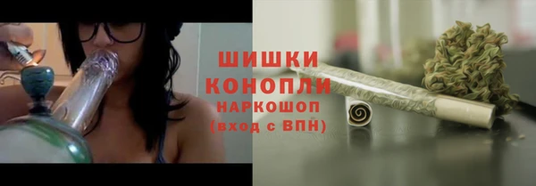дурь Осинники
