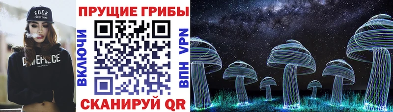 Галлюциногенные грибы MAGIC MUSHROOMS  Юрьевец 