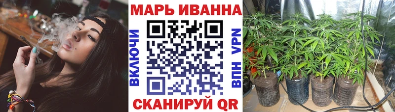 Бошки Шишки семена  гидра tor  Юрьевец 